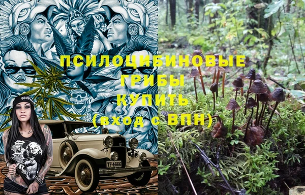 мескалин Майский