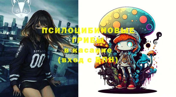 твердый Магадан
