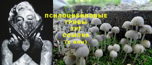 твердый Магадан
