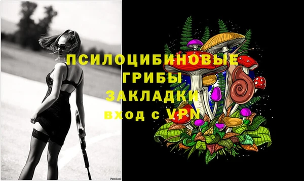 твердый Магадан