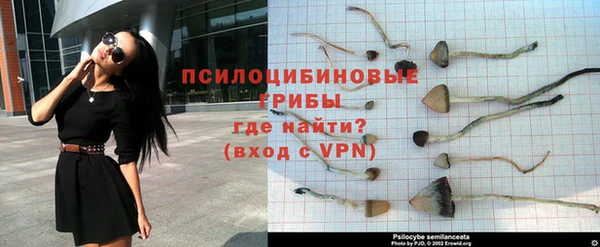 твердый Магадан
