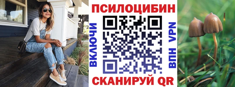 Галлюциногенные грибы прущие грибы купить цена МЕГА ТОР Подольск
