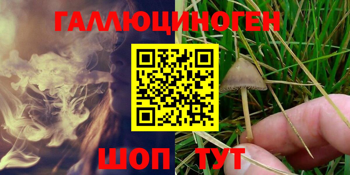 Псилоцибиновые грибы Magic Shrooms  Галлюциногенные грибы GOLDEN TEACHER  Вход с VPN  Подольск 