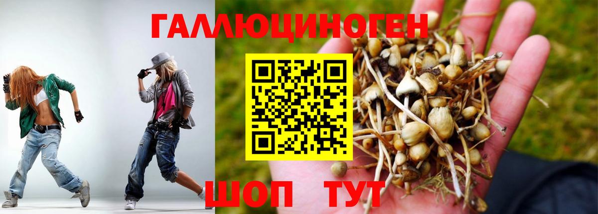 Галлюциногенные грибы Psilocybine cubensis Подольск